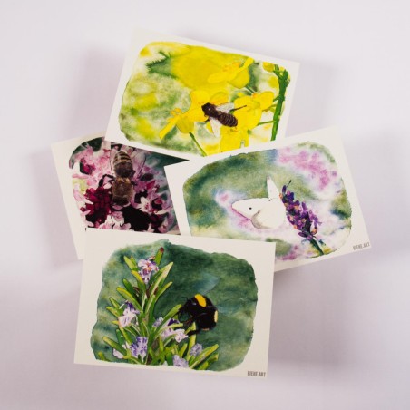 Insect Set 2 - Postcards