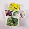 Insect Set 2 - Postcards