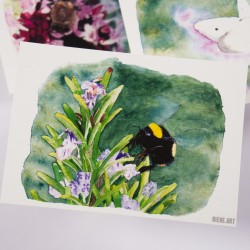 Insektenset 2 - Postkarten