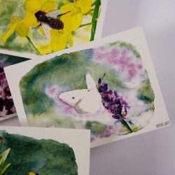 Insektenset 2 - Postkarten