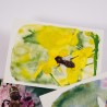 Insektenset 2 - Postkarten