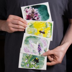 Insektenset 2 - Postkarten