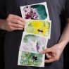 Insect Set 2 - Postcards