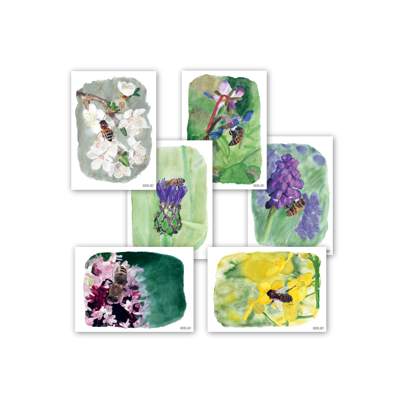 Abeilles - cartes postales