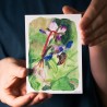 Abeilles - cartes postales