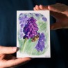 Insektenset 1+2 - Postkarten