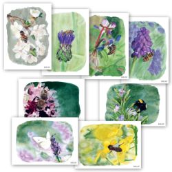 Insektenset 1+2 - Postkarten