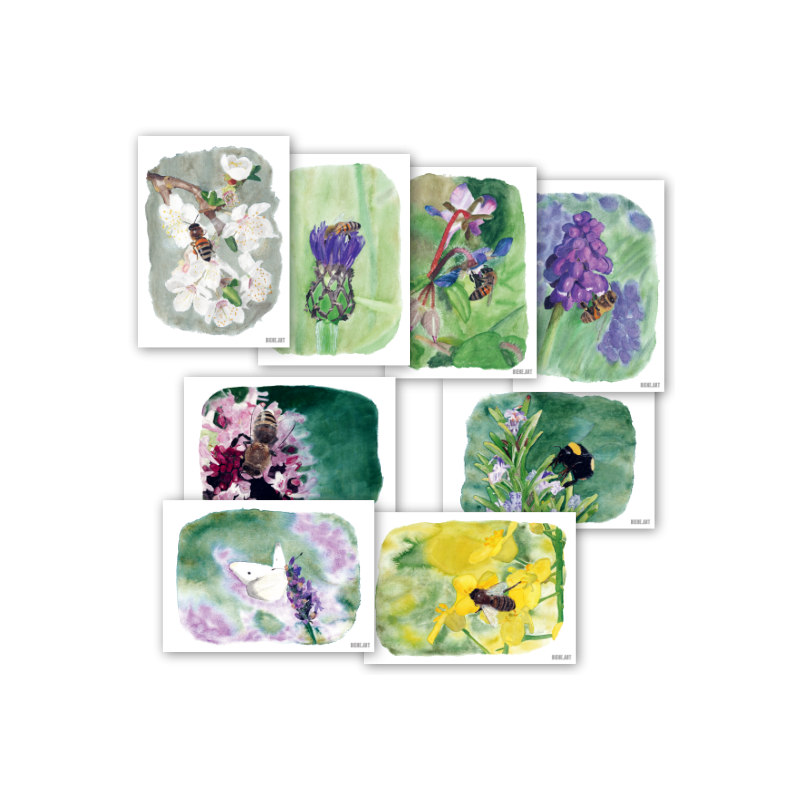 Insect Set 1+2 - Postcards