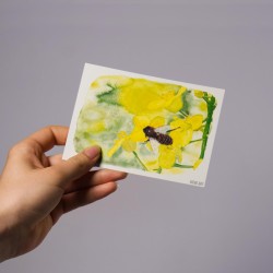 Bee on Rapeseed - Postcard