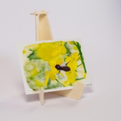 Biene auf Raps - Postkarte