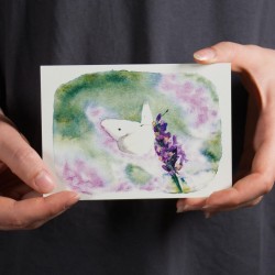 Schmetterling auf Lavendel - Postkarte