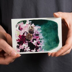 Biene auf Oregano - Postkarte