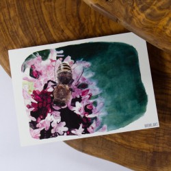Bee at Oregano - Postcard