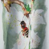 Biene auf Kirschblüte - T-Shirt