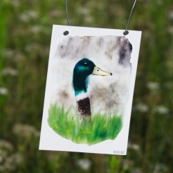 Aufmerksame Ente - Postkarte