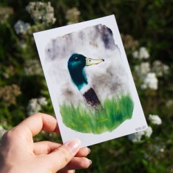 Aufmerksame Ente - Postkarte