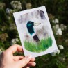 Aufmerksame Ente - Postkarte