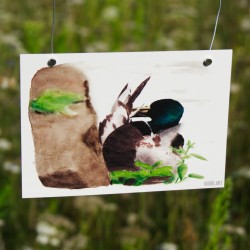 Putzende Ente - Postkarte