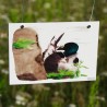 Putzende Ente - Postkarte