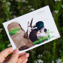 Putzende Ente - Postkarte