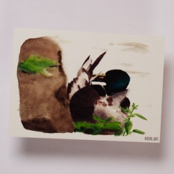 Putzende Ente - Postkarte