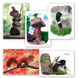 Tiere und Wald 1 - Postkartenset