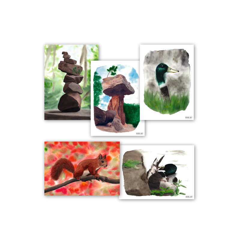 Tiere und Wald 1 - Postkartenset