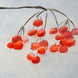 Red Berries 2