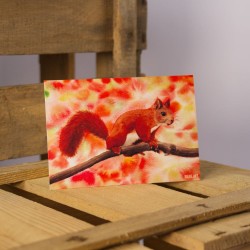 Eichhörnchen - Postkarte