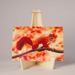 Eichhörnchen - Postkarte