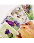 Postkartensets